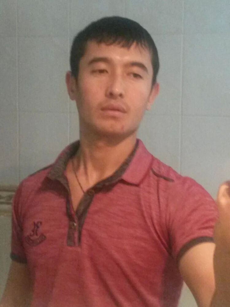  29535664  Odil, 33 ,    