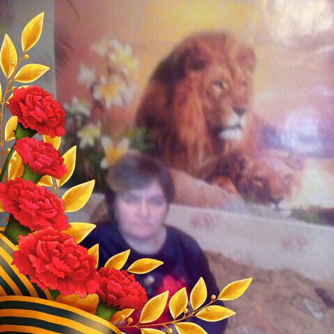 ���� 20342634 ������� ����, 54 ����, ���� ���������� � �������-��-����