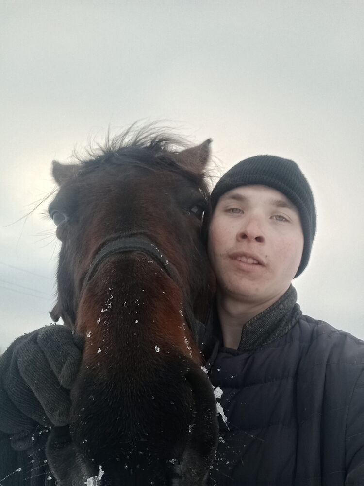 ���� 50291864 ����� �������, 20 ���, ���� ���������� � ����������