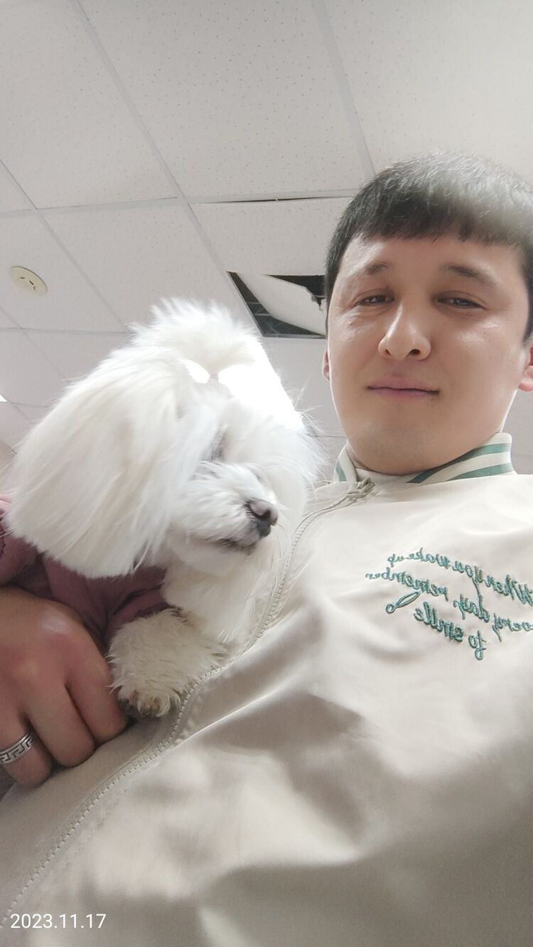 ���� 41823134 ������� ����, 35 ���, ���� ���������� � �����������