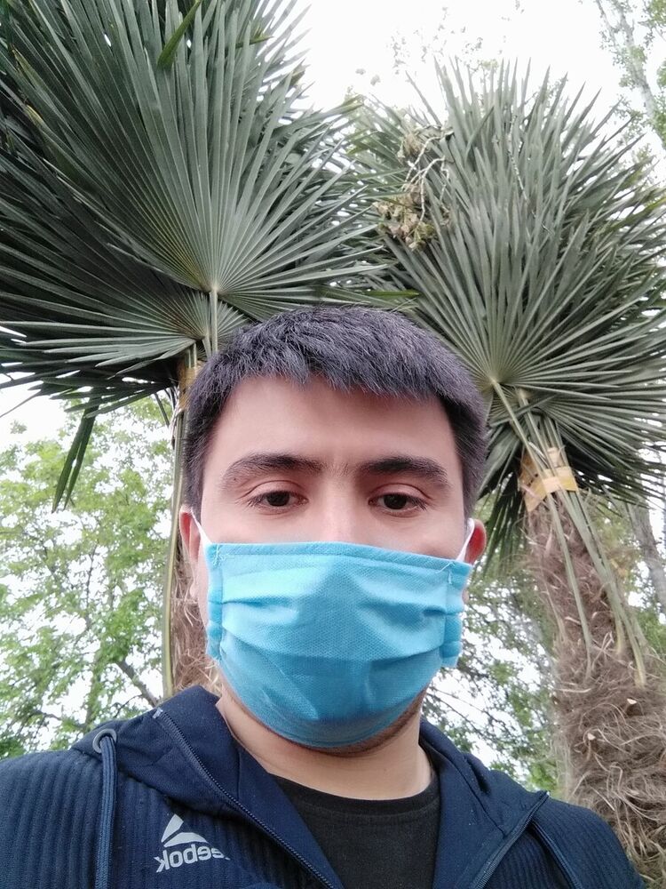 ���������� �������, ���� ������� ��������, 38 ���, ������������ ��� ����� � ���������, c�������� ���������