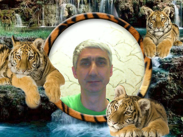  ,   , 62 ,   
