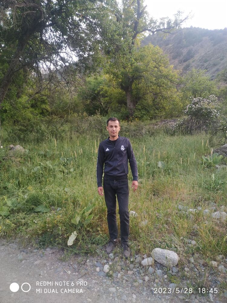 ���������� �������, ���� ������� Abbos, 38 ���, ������������ ��� ������, ����� � ���������