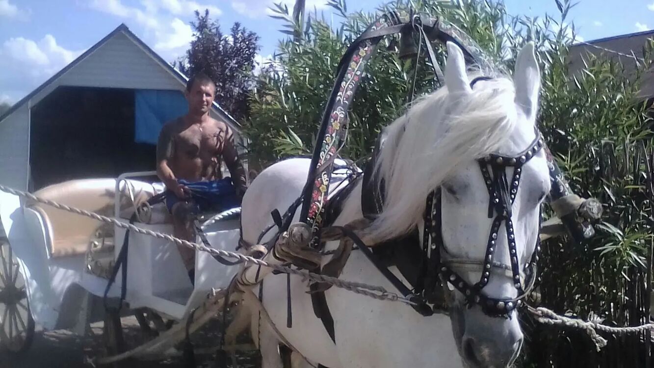 ���������� �����������, ���� ������� ������, 30 ���, ������������ ��� ������, ����� � ���������, c�������� ���������, ���������