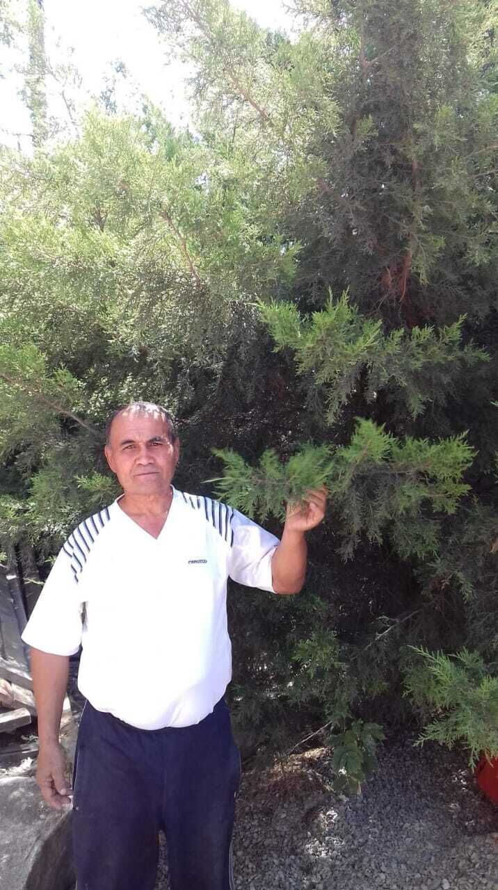  51247104  , 53 ,    -