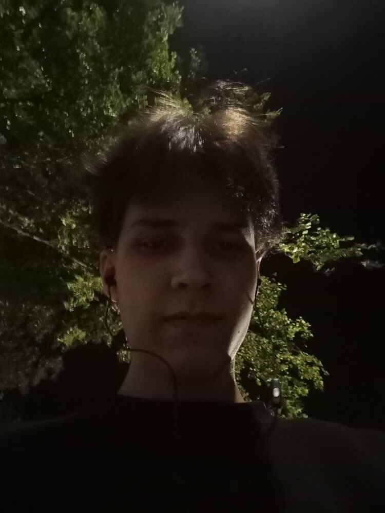  29272874  , 21 ,    -