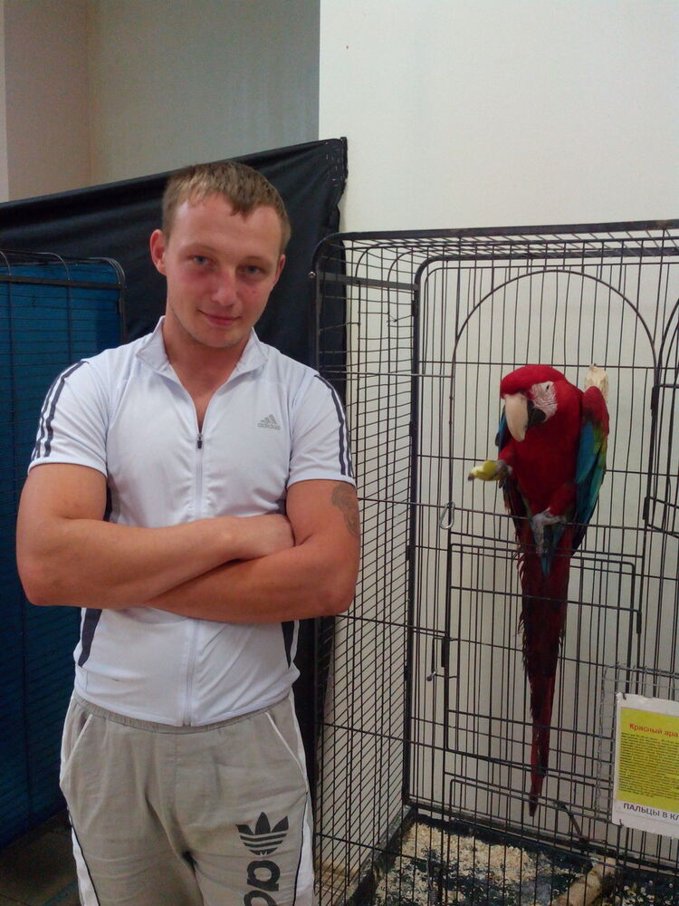 ���� 5252854 ������� ������, 36 ���, ���� ���������� � ��������