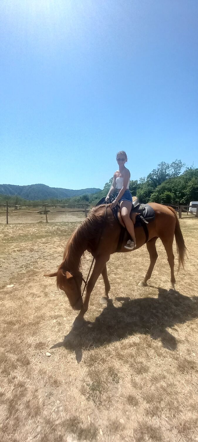 ���������� �������, ���� ������� ����, 27 ���, ������������ ��� ����� � ���������, c�������� ���������