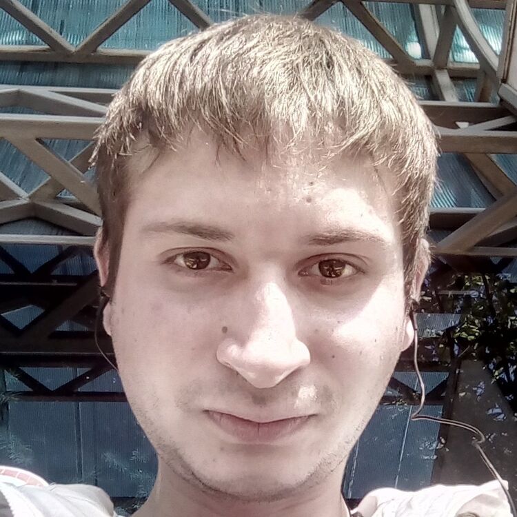  13727454  , 31 ,    