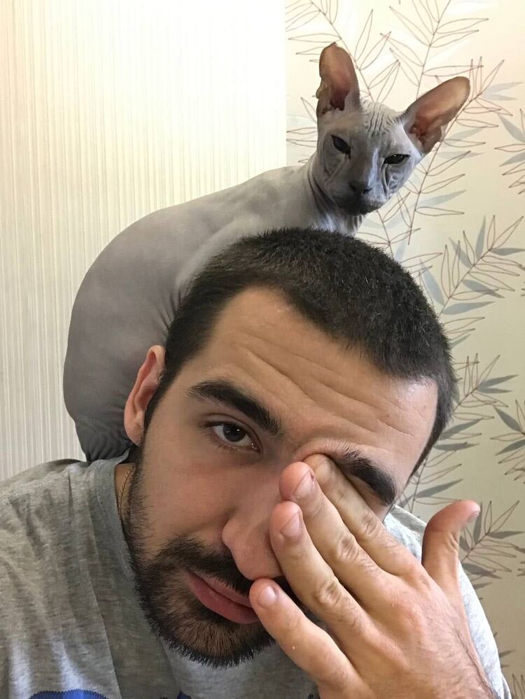 ���� 33861344 ������� Vladimir, 30 ���, ���� ���������� � �������