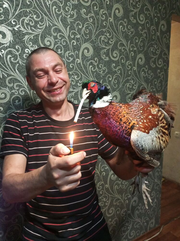 ���������� ����������, ���� ������� ������, 41 ���, ������������ ��� ������, ����� � ���������