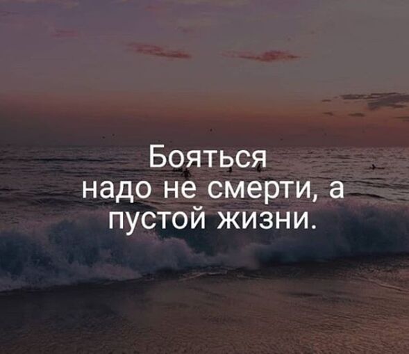  33736514  , 33 ,    