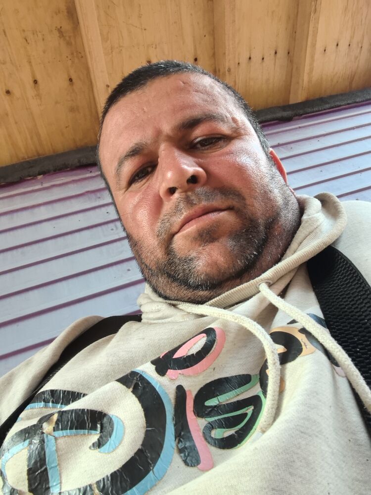  44623574  , 44 ,    