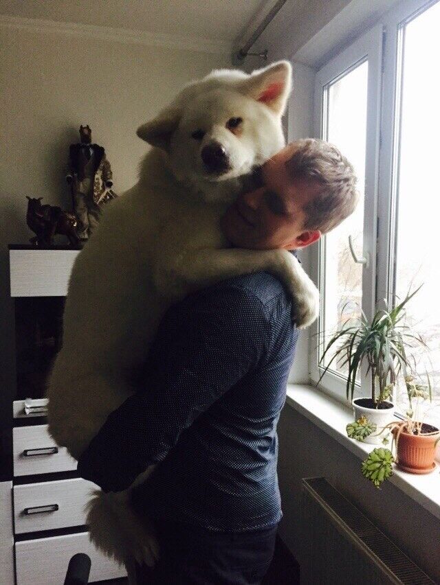 ���������� ������, ���� ������� �������, 32 ����, ������������ ��� ������, ����� � ���������, c�������� ���������