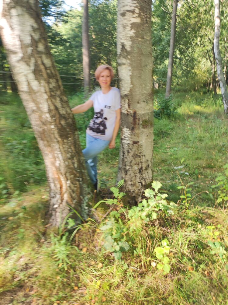 -,   , 53 ,   ,   , c 