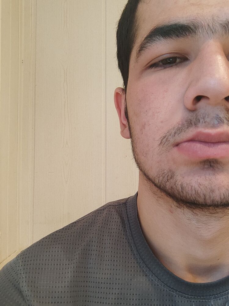 ���������� �����, ���� ����� Sarvar, 24 ����, ������������ ��� ������, ����� � ���������, c�������� ���������