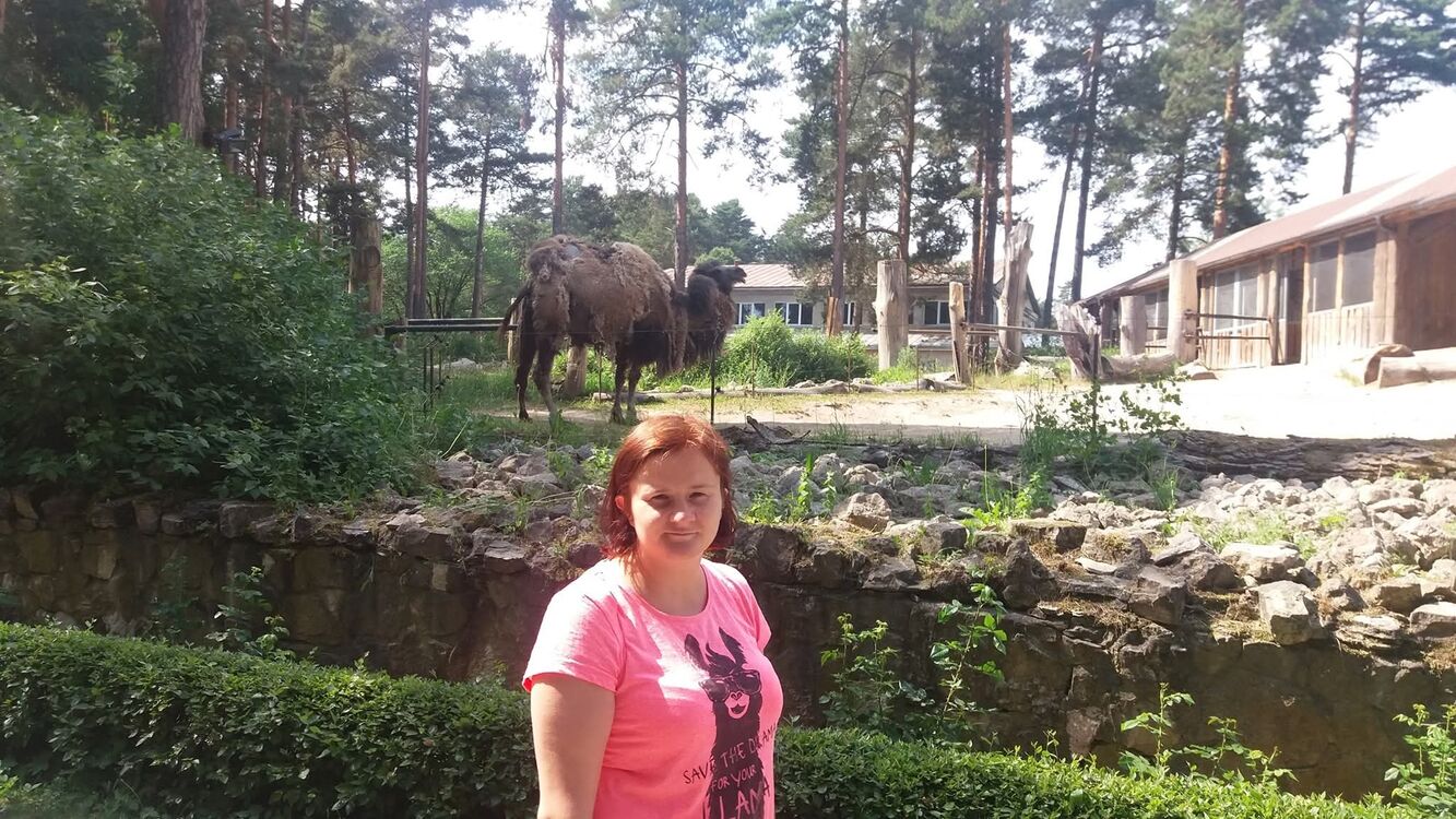 ���� 55457004 ������� Misss, 38 ���, ���� ���������� � ������