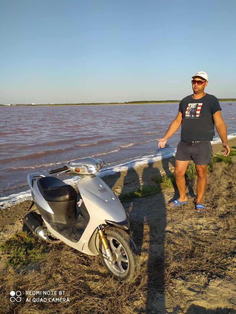 ���� 23048984 ������� ���������, 40 ���, ���� ���������� � �����������