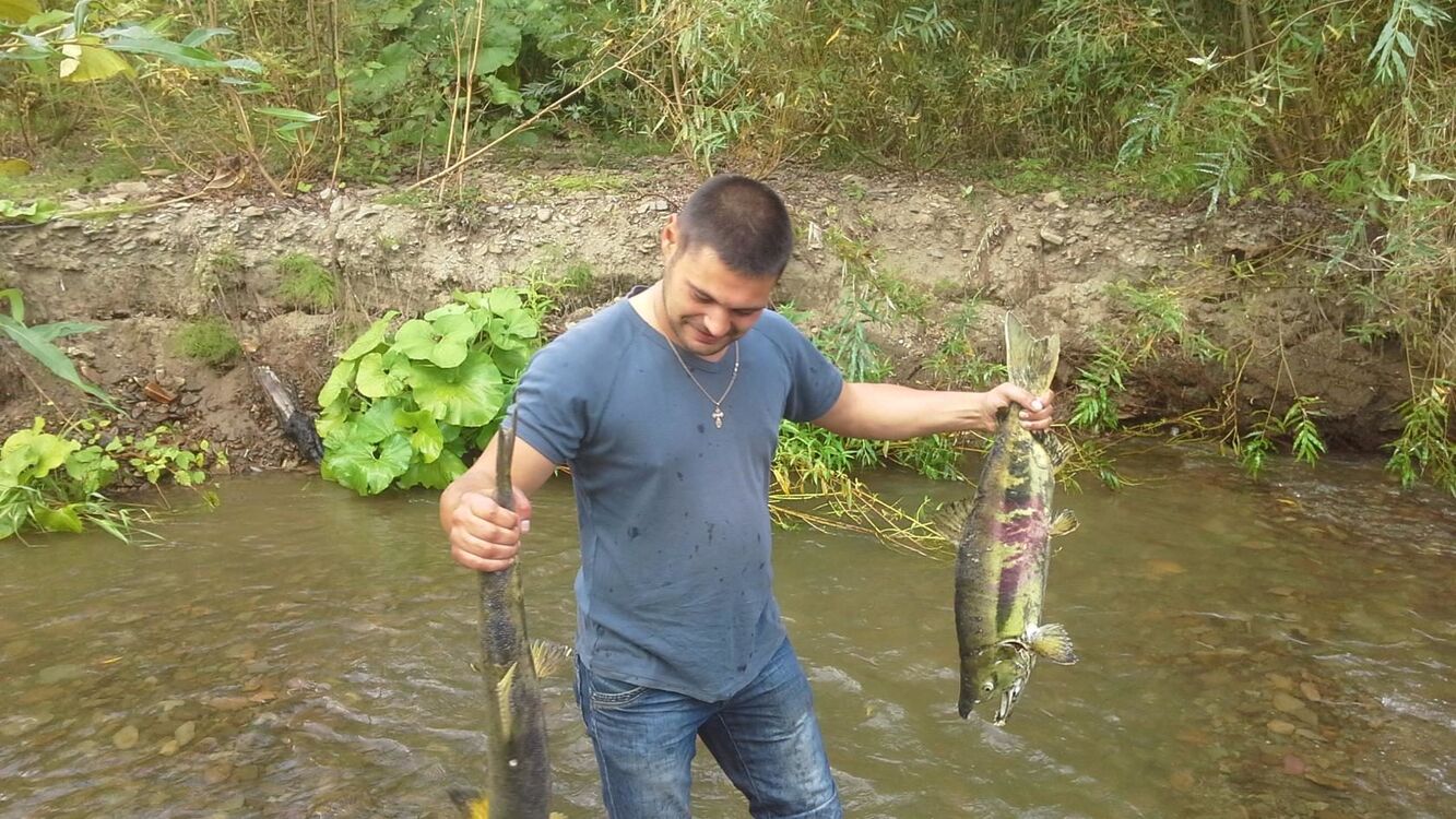  26188884  , 38 ,    -