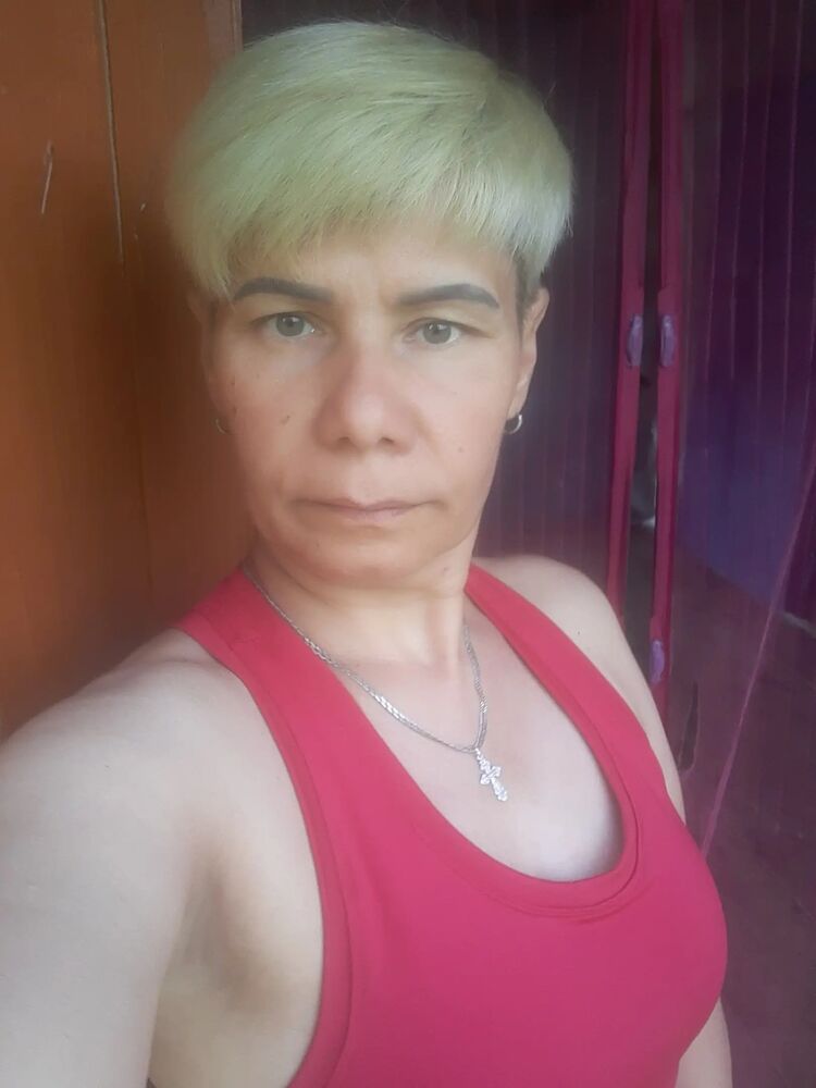  53267194  , 47 ,    