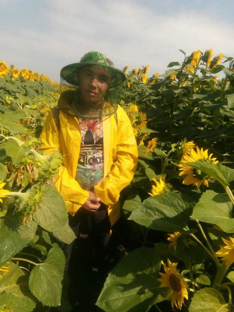 ���� 37743584 ������� ������, 26 ���, ���� ���������� � ������