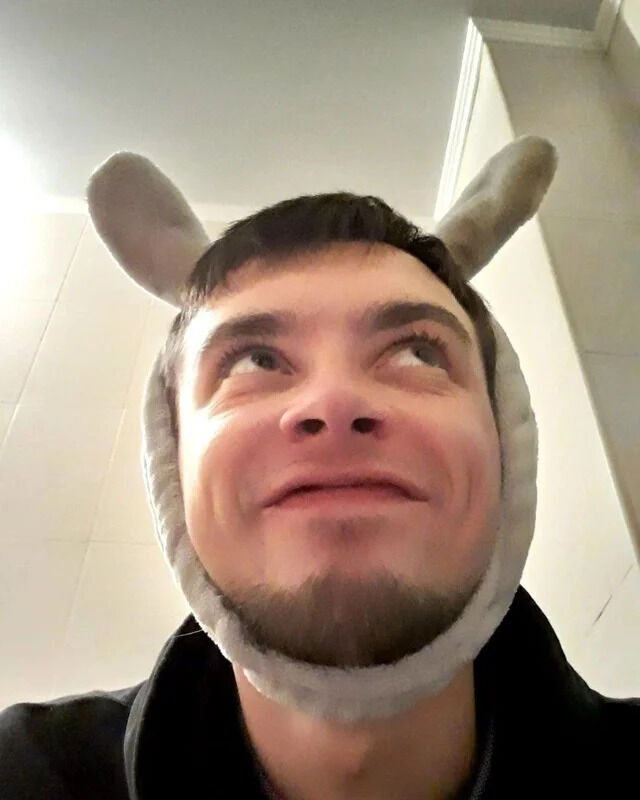 ���������� ���������, ���� ������� �������, 28 ���, ������������ ��� ������, ����� � ���������