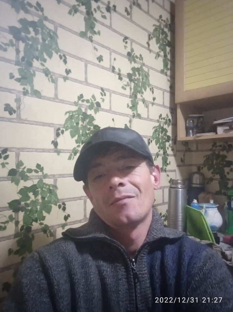  31655834  , 47 ,    
