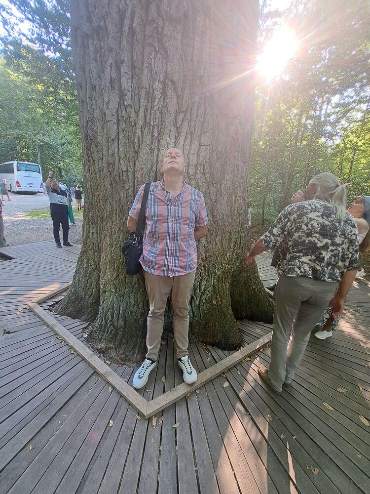 ���������� �����, ���� ������� �������, 51 ���, ������������ ��� ����� � ���������, c�������� ���������