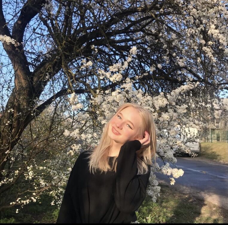 ���� 22966334 ������� ������, 24 ����, ���� ���������� � ������