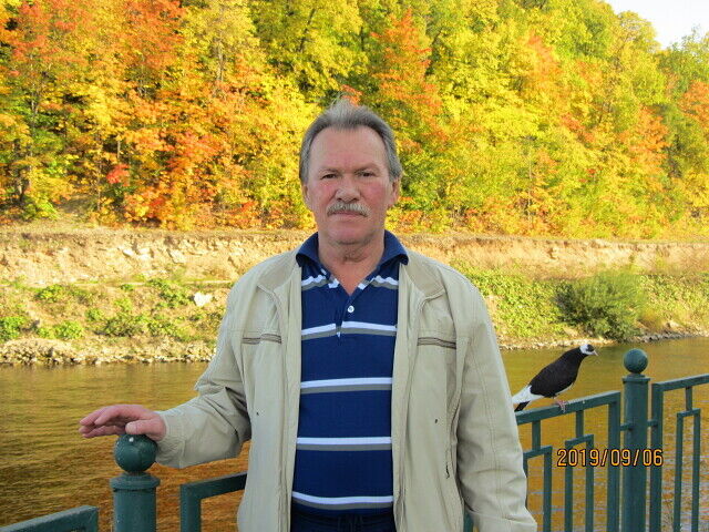 ���� 48882014 ������� ������, 69 ���, ���� ���������� � �������