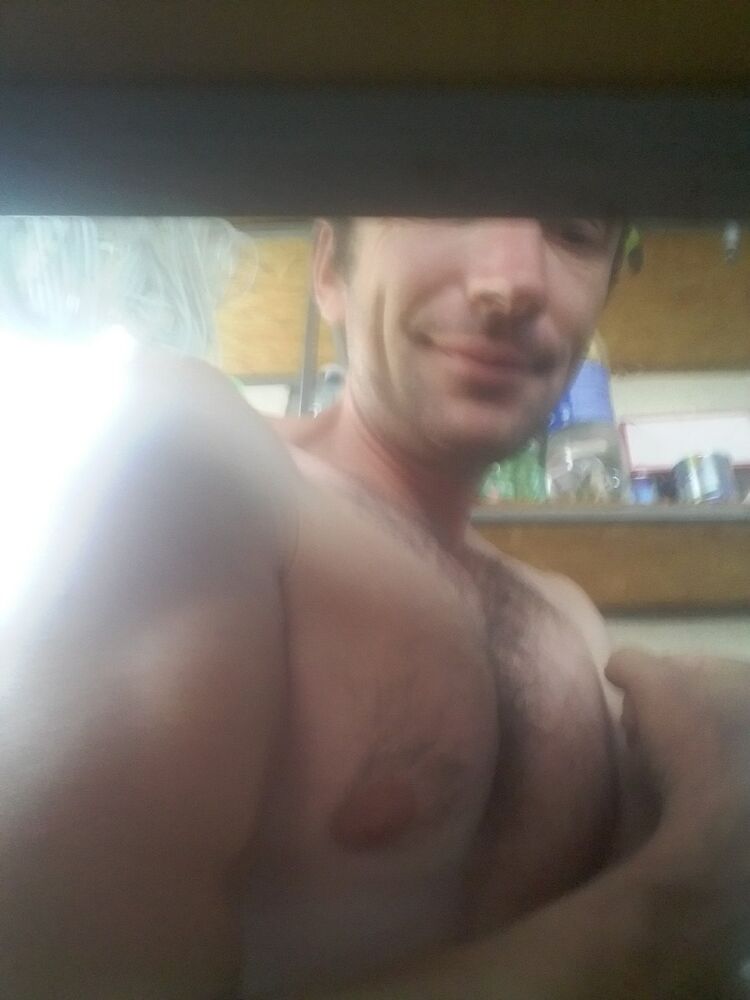  15317214   , 47 ,    