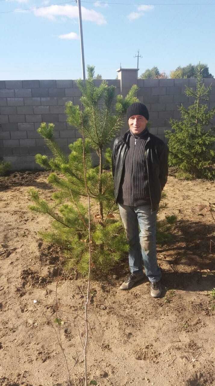  ,   , 41 ,   c 