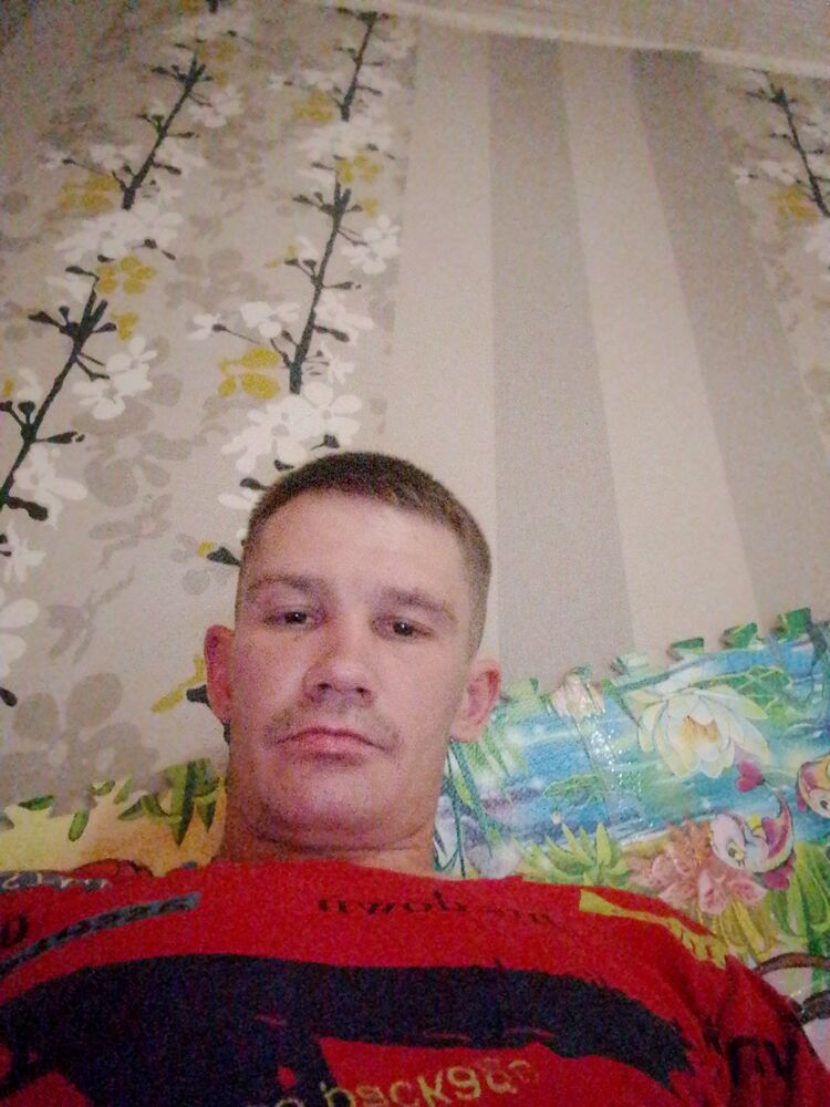  46490964  , 31 ,    