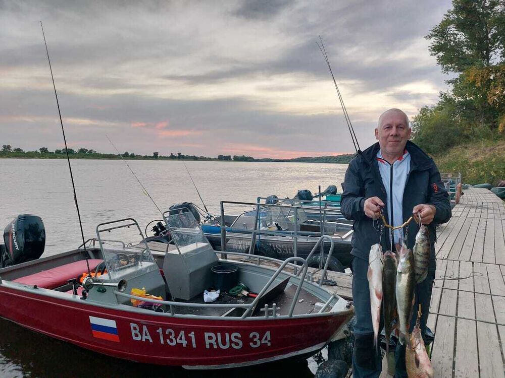 ���� 52803994 ������� �������, 59 ���, ���� ���������� � ������