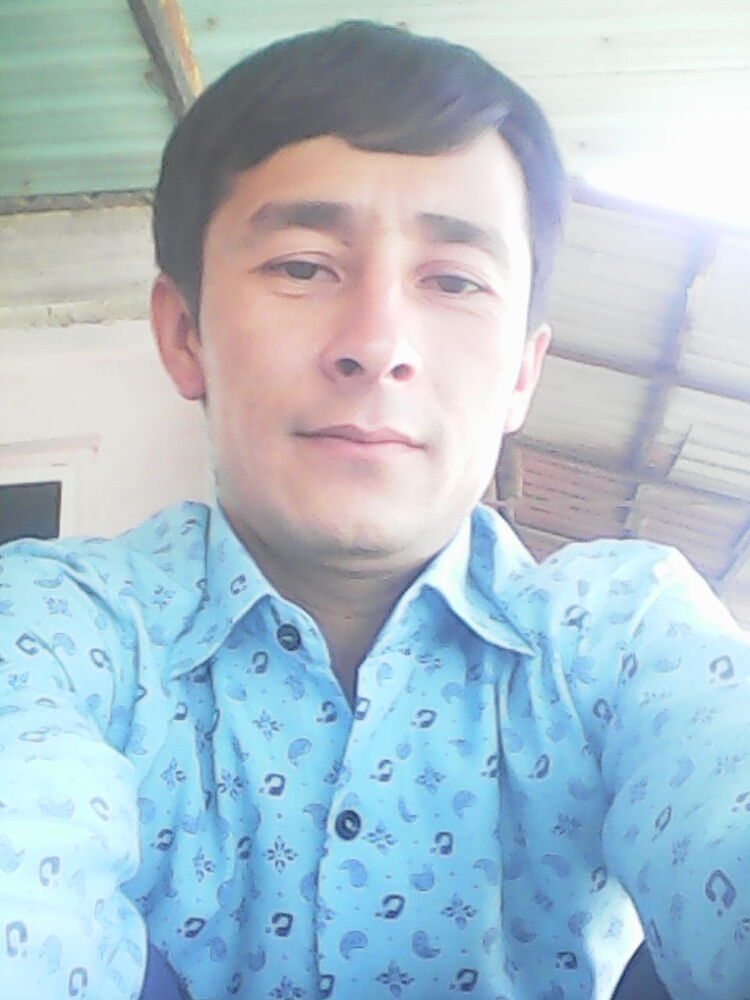  39566294  , 37 ,    