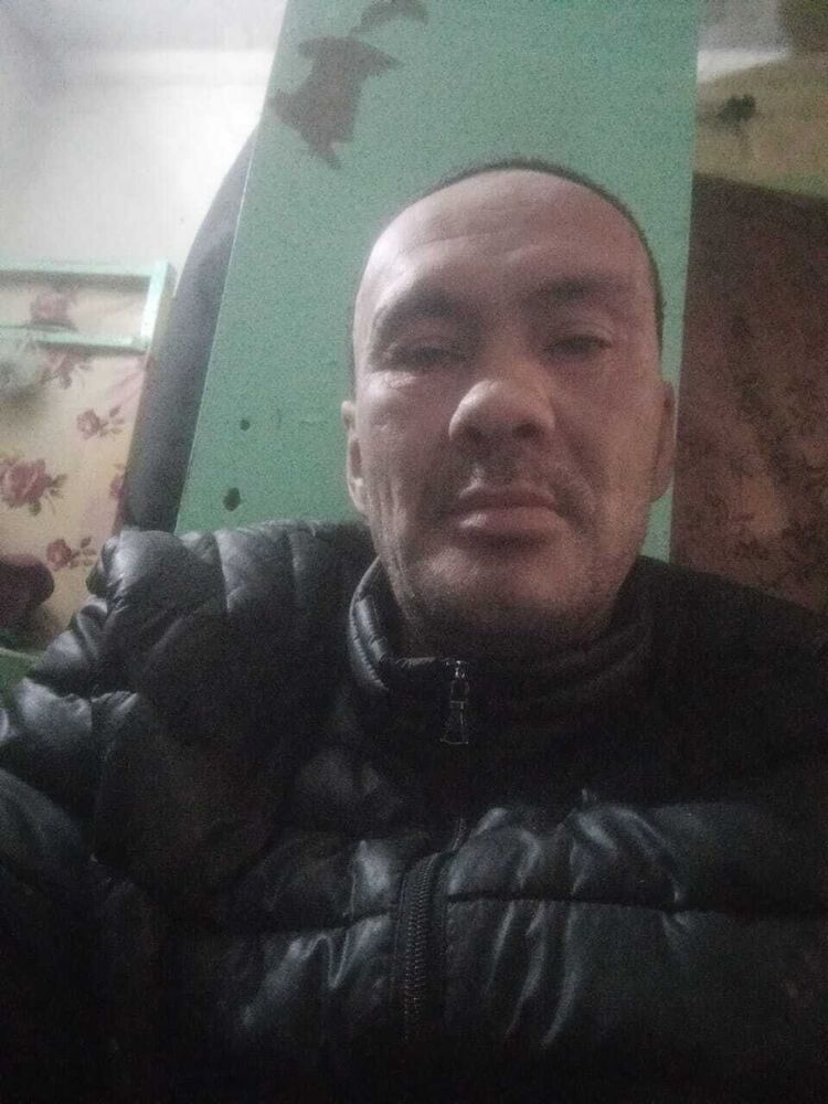  46428054  , 43 ,    