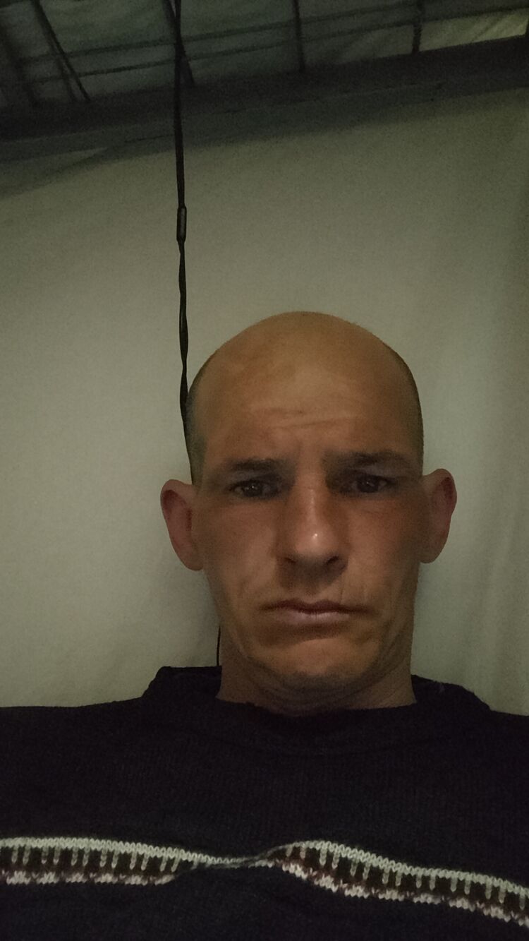  33995594  , 45 ,    