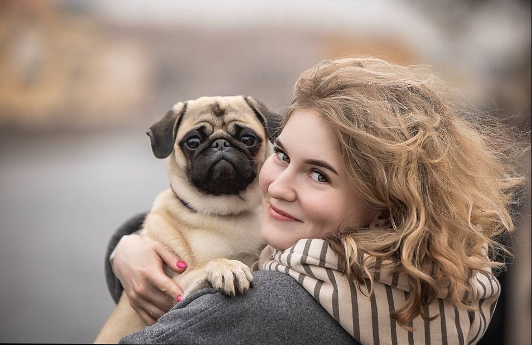 ���� 51291954 ������� �����, 43 ����, ���� ���������� � ������