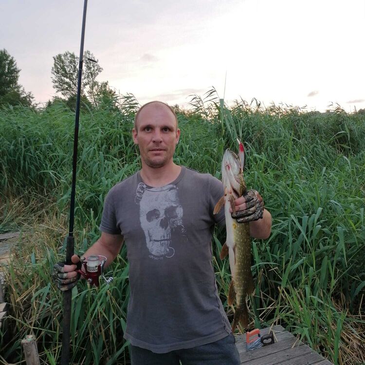  23518904  Andrey, 37 ,    