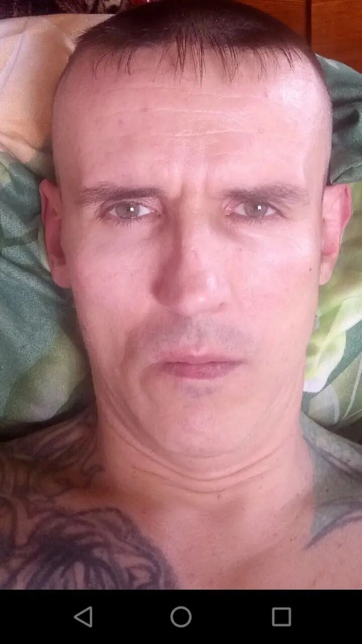 46496314  , 41 ,    