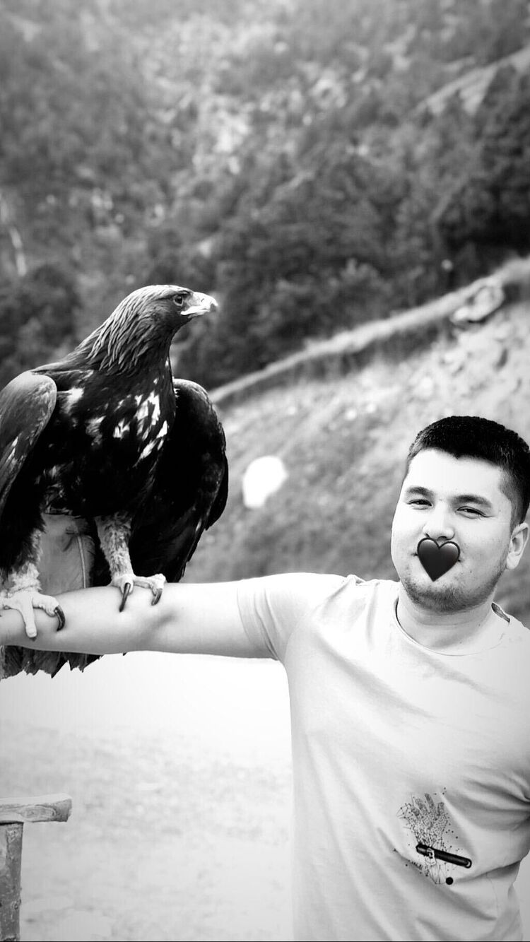 ���������� �������, ���� ������� Abubakr, 30 ���, ������������ ��� ������, ����� � ���������