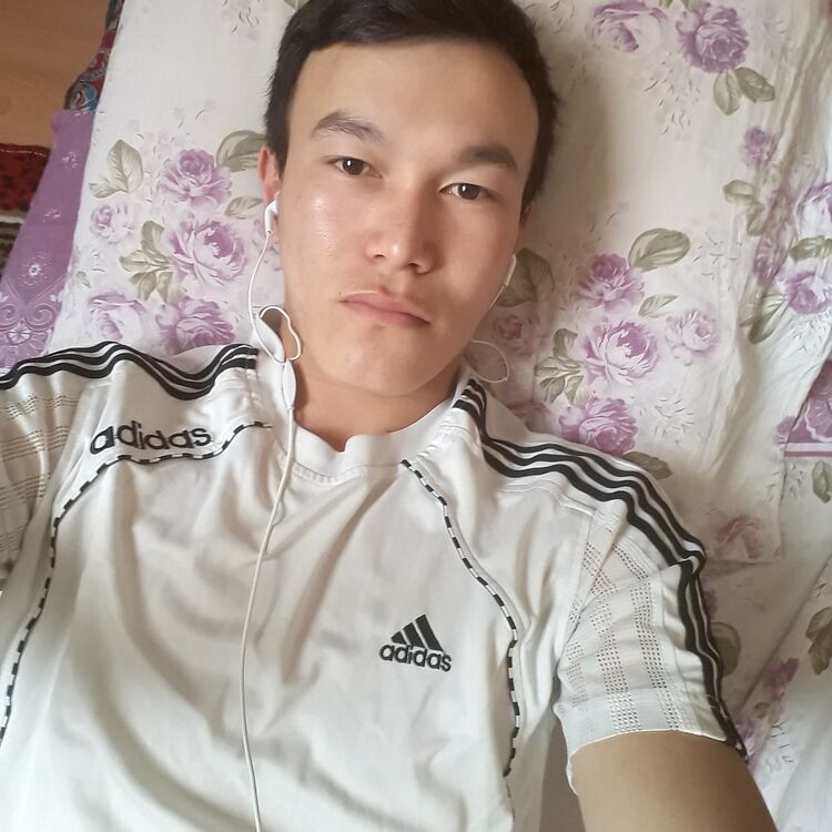  17116294  , 30 ,    