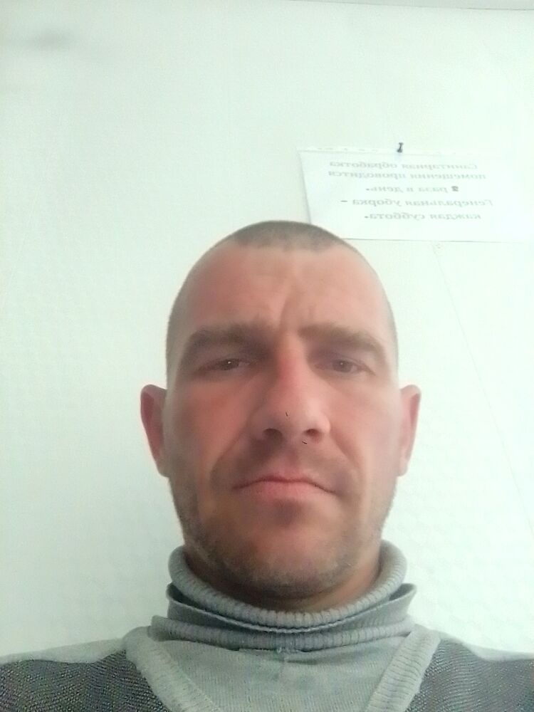  43582694  , 37 ,    
