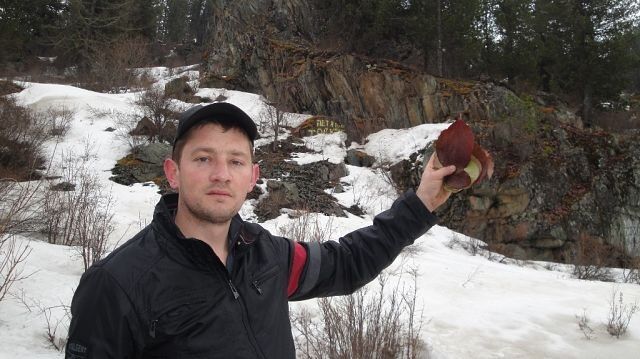 ���� 7938884 ������� ������, 45 ���, ���� ���������� � ������ ���������