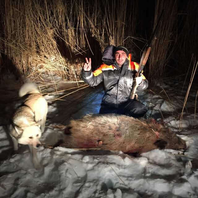 ���������� ������, ���� ������� ������, 42 ����, ������������ ��� ������, ����� � ���������