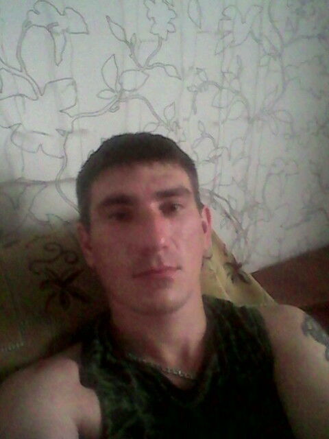  8000474  , 41 ,    