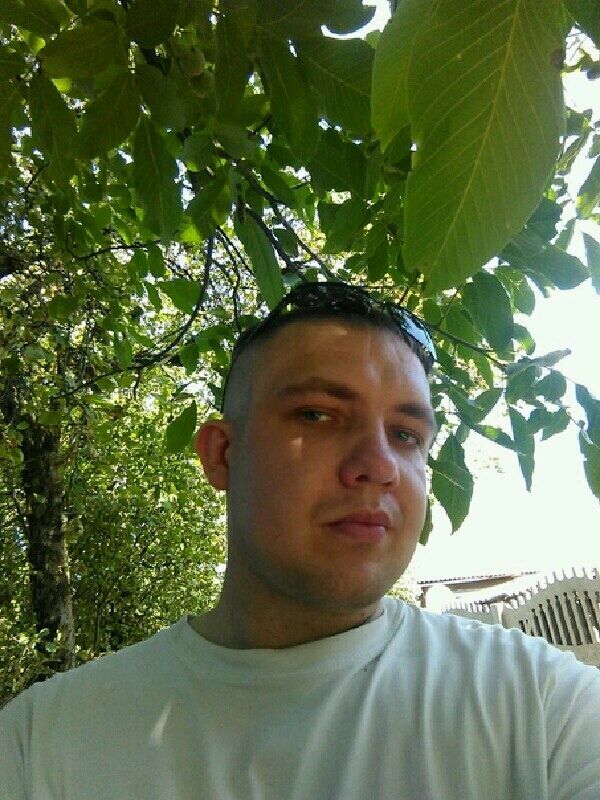  37895894  , 37 ,    