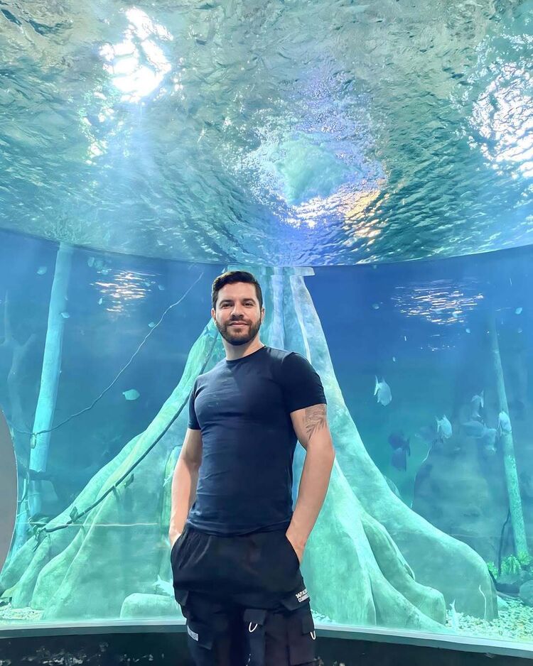 ���� 50184904 ������� Andro, 42 ����, ���� ���������� � ������