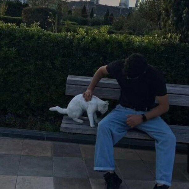 ���������� ������-��-����, ���� ������� ������, 28 ���, ������������ ��� ������, ����� � ���������