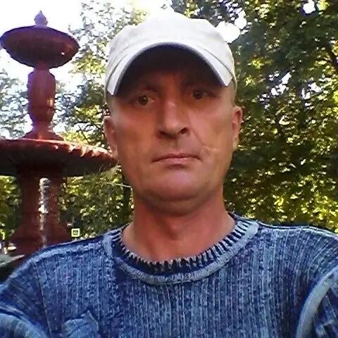  43394494  , 51 ,     